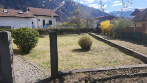 Photo de galerie - Tonte de pelouse - Débroussaillage