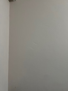 Photo de galerie - Peinture