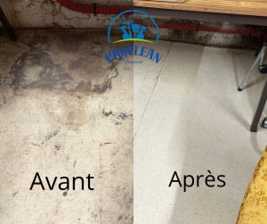 Photo de galerie - Remise en état à la monobrosse