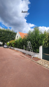 Photo de galerie - Taille de haies et d'arbustes