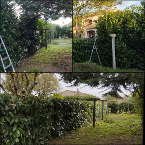 Photo de galerie - .