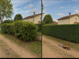 Photo de galerie - Taillage, remise en forme de votre haies 