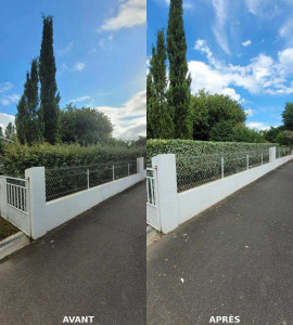 Photo de galerie - Taille d'eleagnus sur Ychoux 