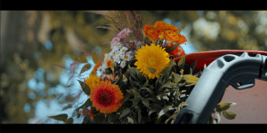 Photo de galerie - Montage photo video