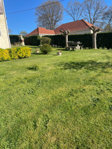 Photo de galerie - Tonde,arbustes, débroussailleuse 