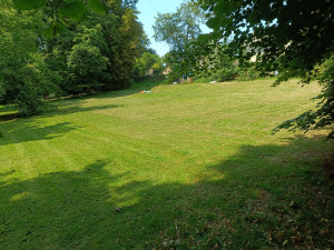 Photo de galerie - Entretien espaces verts 