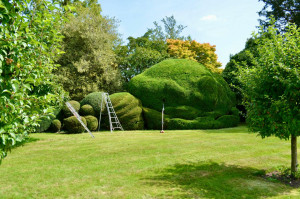 Photo de galerie - Paysagiste - Aménagement du jardin
