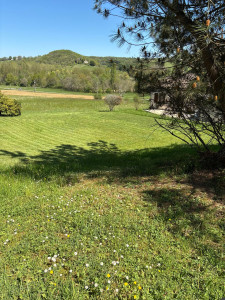 Photo de galerie - Pelouse faite