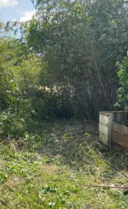 Photo de galerie - Nettoyage d’un terrain 