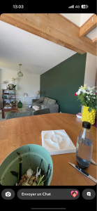 Photo de galerie - Mur couleur vert dans le salon séjour, pour rajouter une touche de couleur.