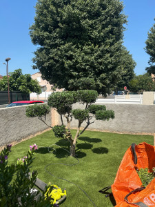 Photo de galerie - Olivier après 