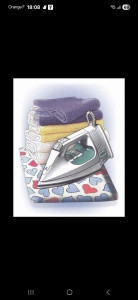 Photo de galerie - Repassage à domicile 