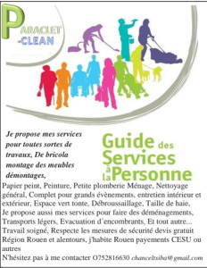 Photo de galerie - Polyvalent bricolage petit plomberie ménage 