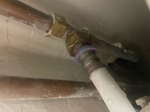 Photo de galerie - Réputation fuit 