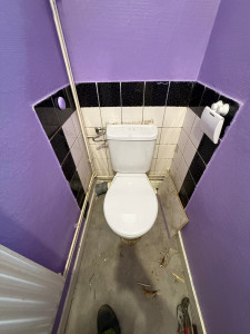 Photo de galerie - Changement WC