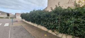 Photo de galerie - Jardinier