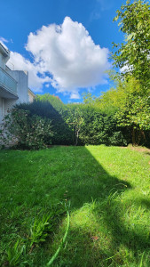 Photo de galerie - Taille d’une haie (avant)