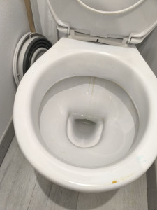 Photo de galerie - Nettoyage,remise en état 