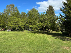 Photo de galerie - Tonte de pelouse
