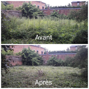 Photo de galerie - Débroussaillage avec évacuation 