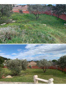 Photo de galerie - Debrousaillage 