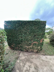 Photo de galerie - Coter plus hauteurs taillées 