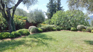 Photo de galerie - Taille d'arbustes 