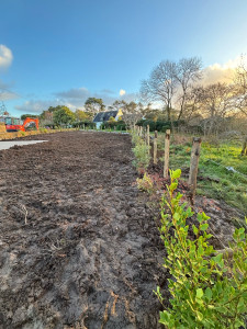 Photo de galerie - Paysagiste - Aménagement du jardin
