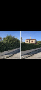 Photo de galerie - Taille Haie, Élagage arbuste.