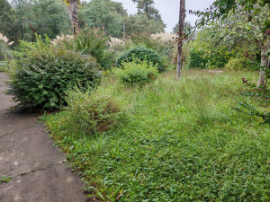 Photo de galerie - Jardinier