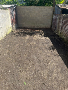 Photo de galerie - Remise à propre et engazonnement 