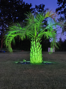 Photo de galerie - Jardinier