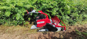 Photo de galerie - Tonte de pelouse - Débroussaillage