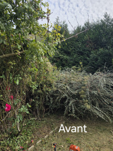 Photo de galerie - Avant et Aprés 