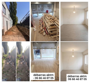 Photo de galerie - Débarras et nettoyage d'une allée extérieure avant / après