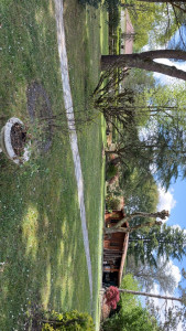 Photo de galerie - Tonte 