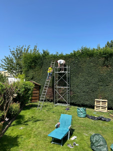 Photo de galerie - Taille de haie, échafaudage en ma possession. ( la taille n’est pas fini sur la photo )