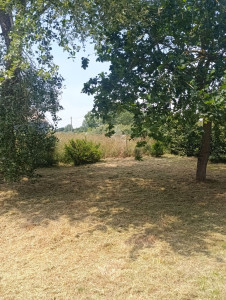 Photo de galerie - Beaucoup mieux comme sa 