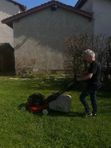 Photo de galerie - Tonte gazon (avec ou sans mon matériel)