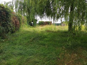 Photo de galerie - Nettoyage terrain. 