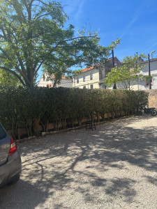 Photo de galerie - Taille de haies 