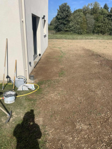 Photo de galerie - Semis de gazon 