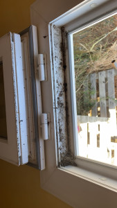 Photo de galerie - Nettoyage des fenêtre et vitres intérieur et extérieur 