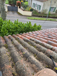 Photo de galerie - Bricolage et multi services