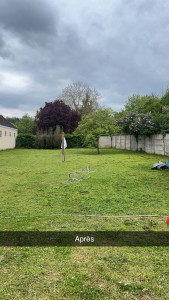 Photo de galerie - Tonte de pelouse - Débroussaillage