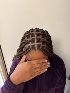 Photo de galerie - Tresses africaine