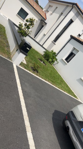Photo de galerie - Tonte de pelouse - Débroussaillage