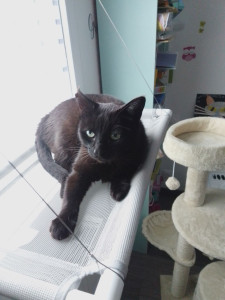 Photo de galerie - Guinness 