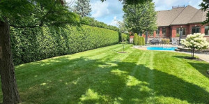 Photo de galerie - Tonte d’une pelouse sur un chantier 