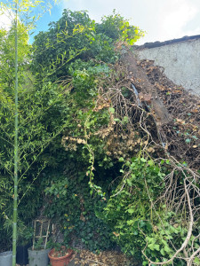 Photo de galerie - Avant 